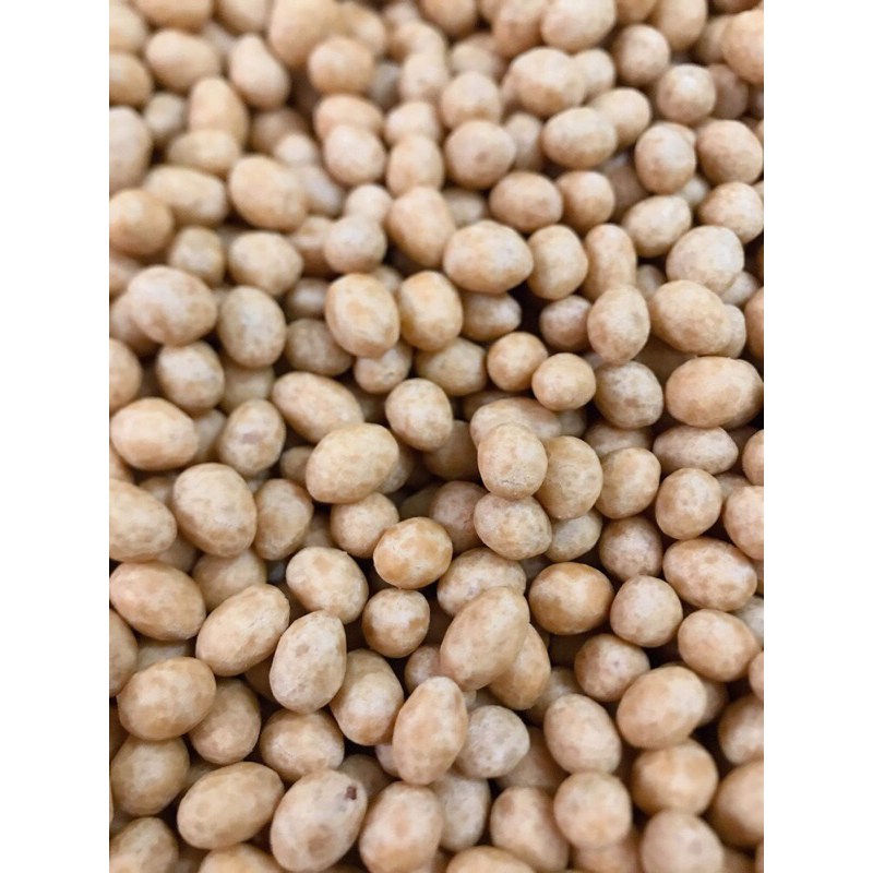 [FreeShip] 500g Đậu Phộng Da Cá Nước Cốt Dừa - Thơm Ngon