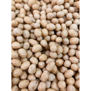 500g đậu phộng da cá nước cốt dừa - thơm ngon