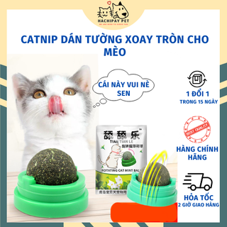 Catnip cỏ mèo gắn tường, catnip cho mèo