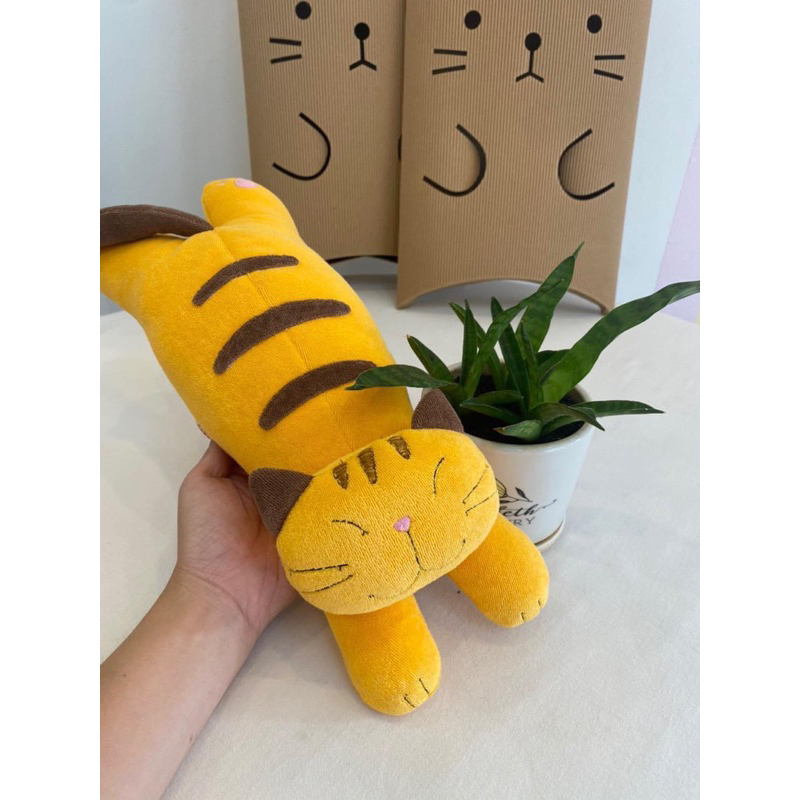 Mèo sọc .Hikosen Cara