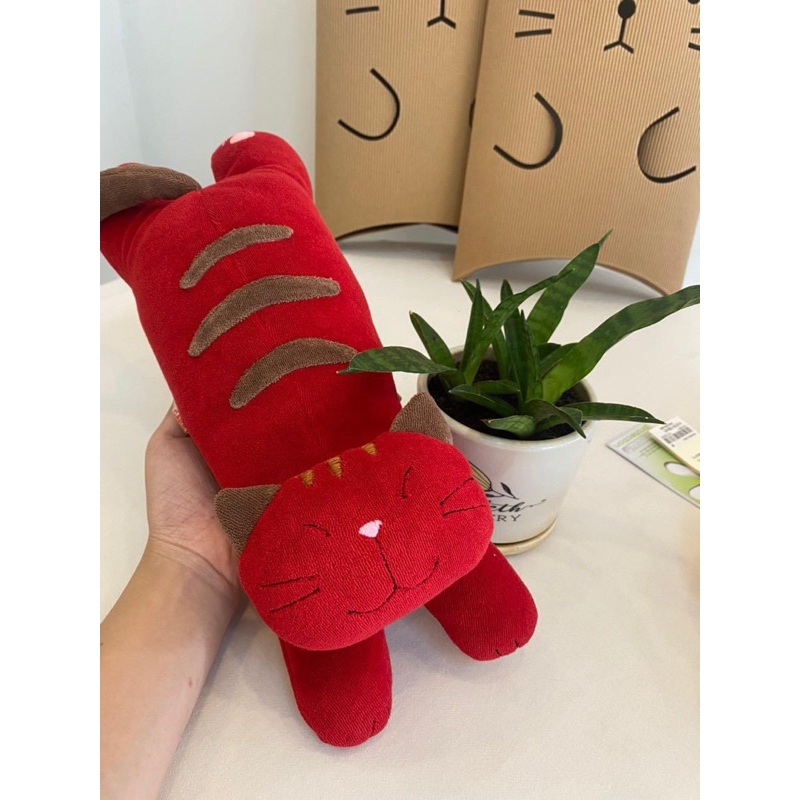 Mèo sọc .Hikosen Cara