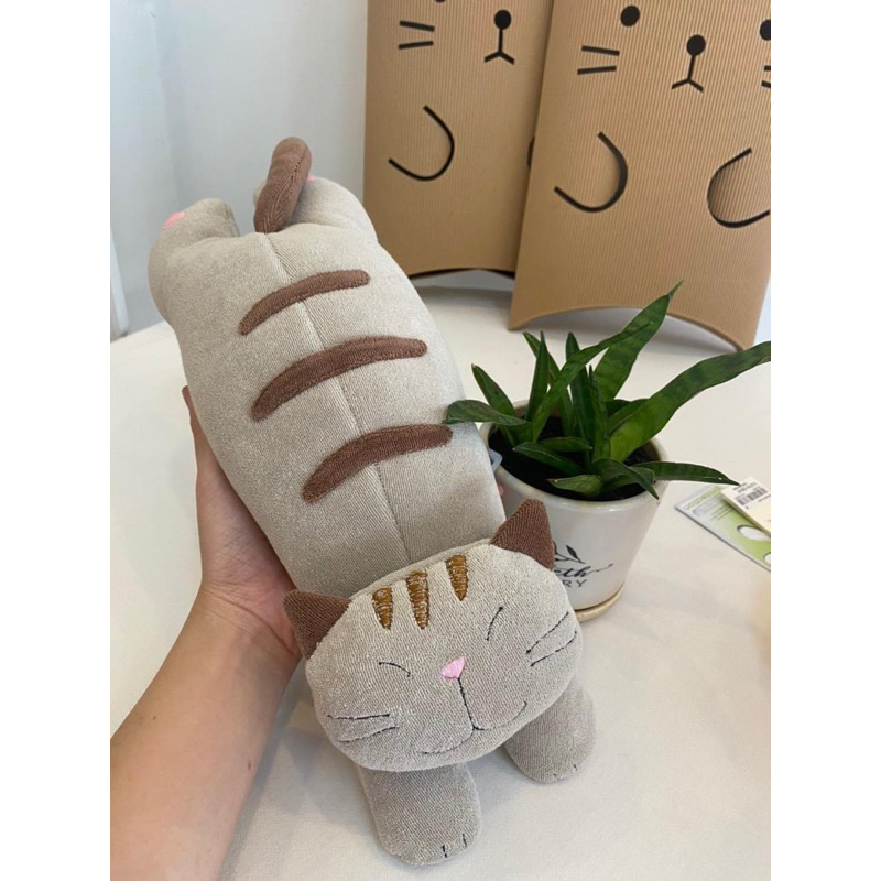 Mèo sọc .Hikosen Cara