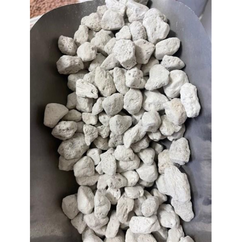 NHAM THẠCH TRẮNG ĐÁ LÔNG VŨ 100gr