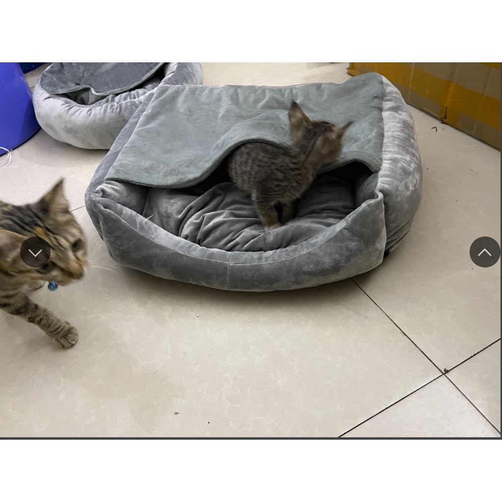 nệm ngủ kèm mền cho chó mèo tặng đồ chơi bình sữa 20cm