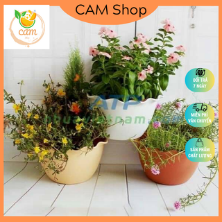 Chậu ốp tường trồng hoa, cây cảnh hình bán nguyệt, có lưới lót chậu 10 cái