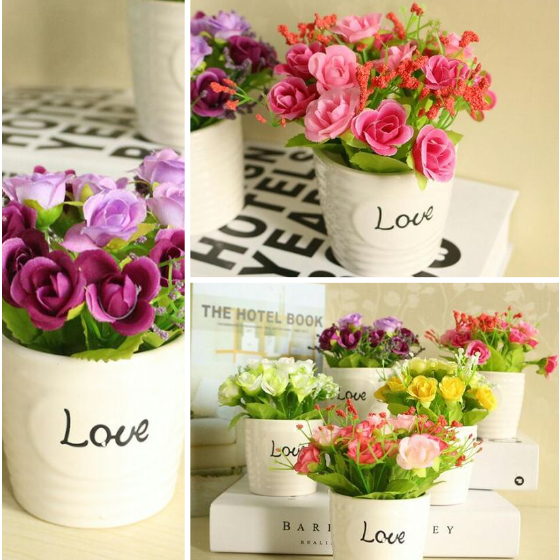 Chậu love hoa nở trang trí không gian sống nhiều màu