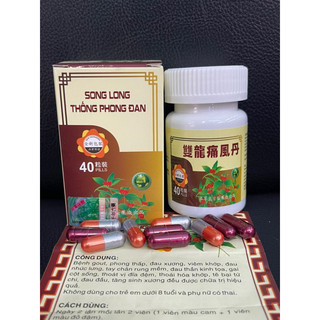 Song Long Thống Phong Đan Xương Khớp