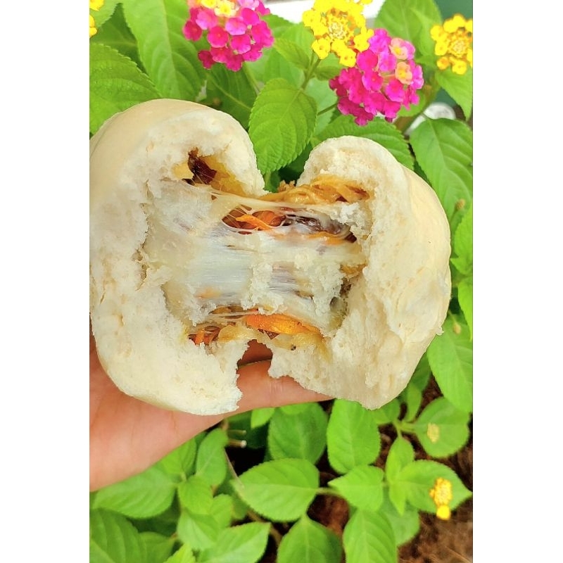 Handmade bánh bao lứt chay ,rau nấm, gà lứt chay, xá xíu