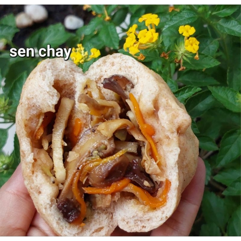 Handmade bánh bao lứt chay ,rau nấm, gà lứt chay, xá xíu