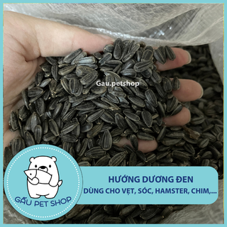 Hạt hướng dương đen - thức ăn cho vẹt, sóc, hamster,…