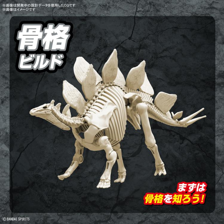 Mô hình lắp ráp Bandai Khủng long Plannosaurus Stegosaurus