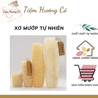 Xơ Mướp Khô Tự Nhiên, Để Tắm, Tẩy Da Chết, Rửa Bát| Nguyên trái hoặc cắt nhỏ tiện dụng