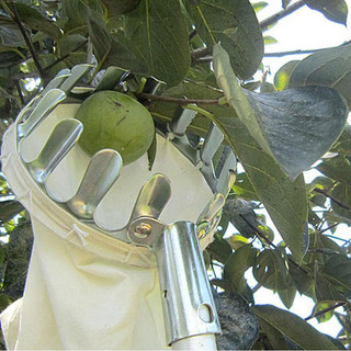 Đầu vợt hái trái cây, dụng cụ hái trái cây bằng kim loại, kèm túi vải đựng trái cây đa năng tiện lợi