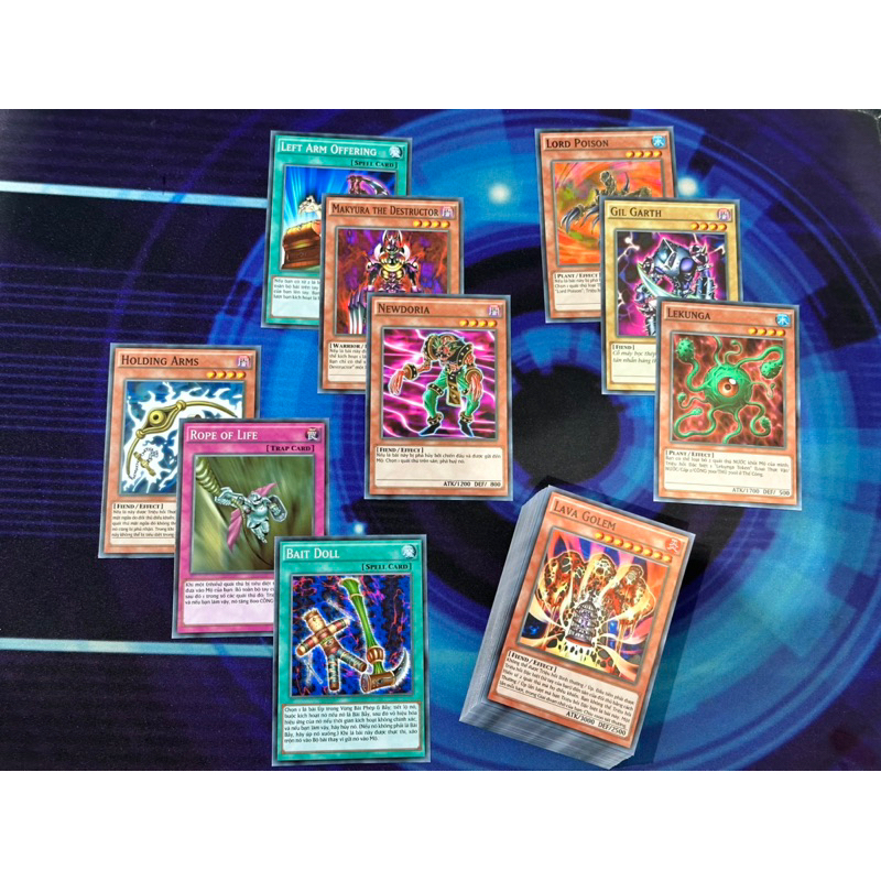 Bài in Yugioh Tiếng Việt - Bộ bài Marik