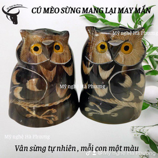 Cú mèo sừng trâu - con vật may mắn của các nước Nhật Bản, Pháp....