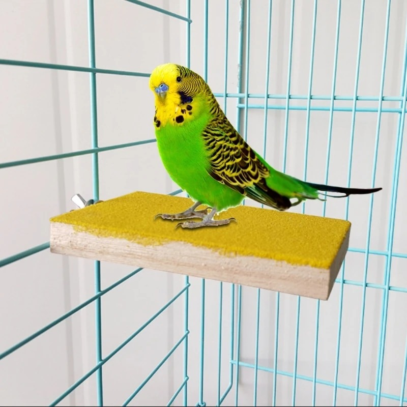 Tấm mài móng cho vẹt, tấm đứng thú cưng hamster