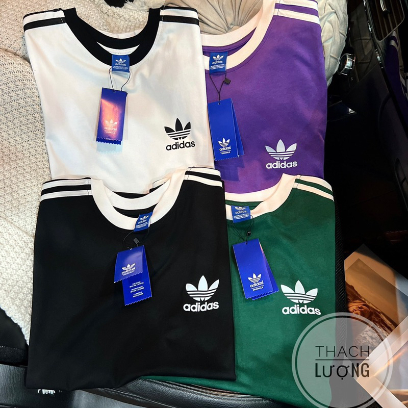 Áo thun bo cổ hàng siêu cấp / Ảnh thật