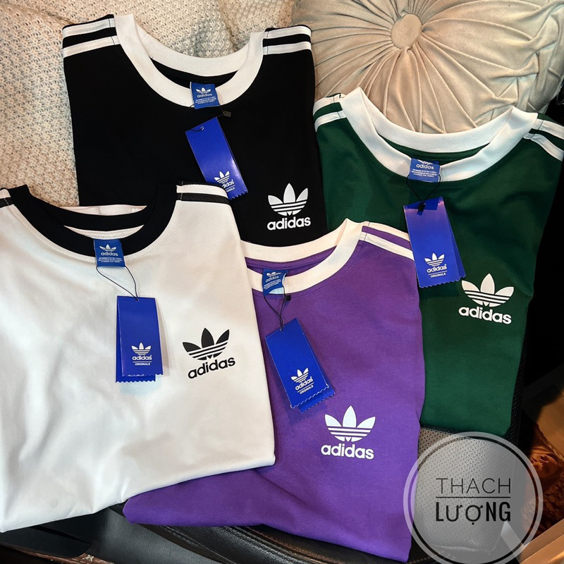 Áo thun bo cổ hàng siêu cấp / Ảnh thật