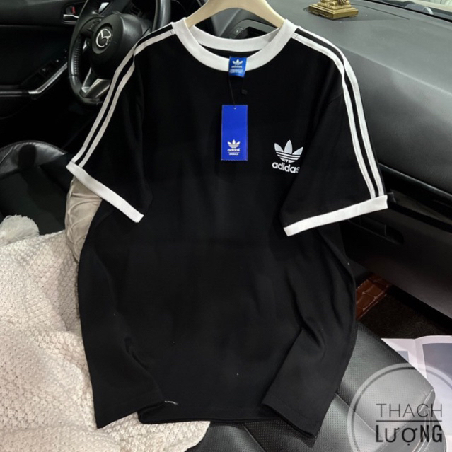 Áo thun bo cổ hàng siêu cấp / Ảnh thật