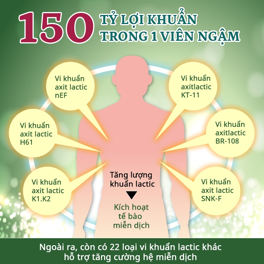 Kẹo Lợi Khuẩn Chống Táo Bón, Biếng Ăn, Hỗ Trợ Tiêu Hóa, Vị Sữa Chua, Vị Cam, Nyusankin, Dầu Gan Cá Nhật Bản