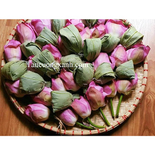 Trà Ướp Bông Sen sấy thăng hoa