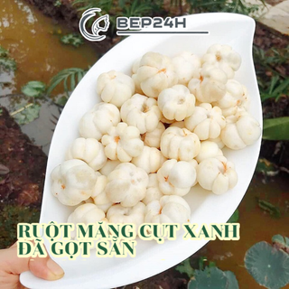 [SHIP HỎA TỐC TRONG NGÀY] Măng cụt gọt sẵn 500g làm gỏi gà
