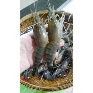 Bánh phồng tôm .