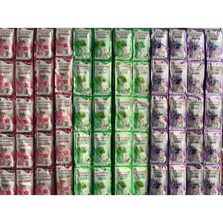 Dây sữa tắm Gervenne 12 gói/ dây