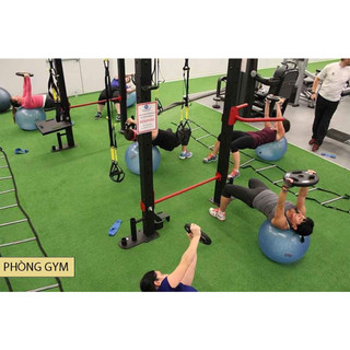 Thảm cỏ nhân tạo 2cm nặng bền sợi mưa nắng