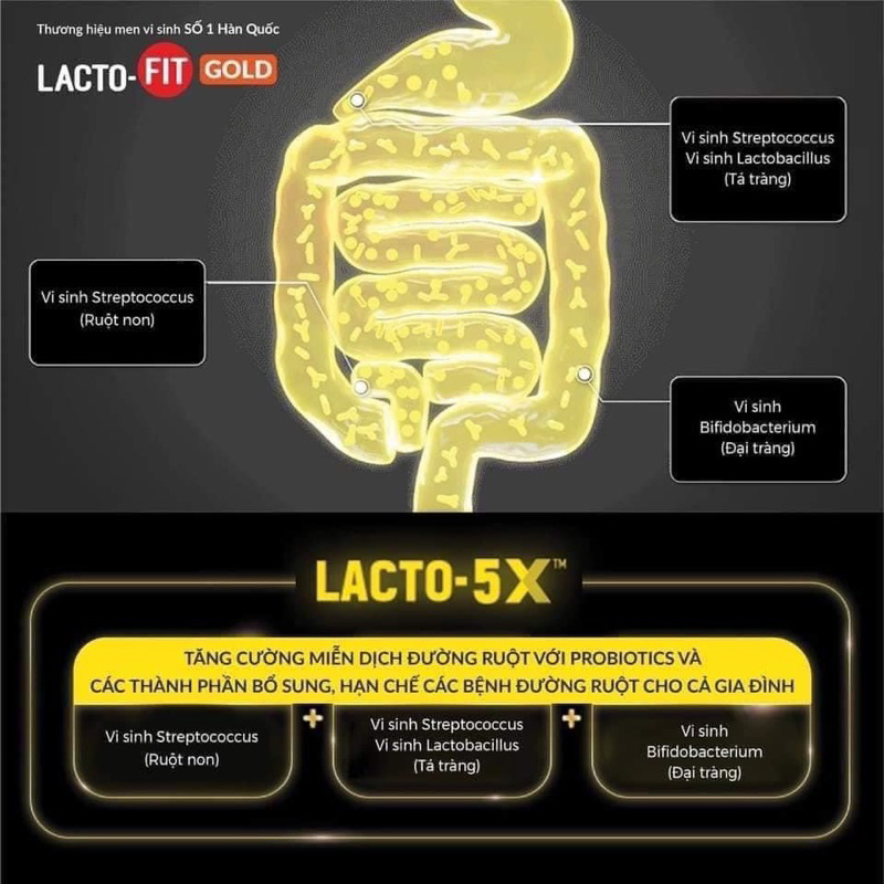 Lactofit vàng hộp 50 gói