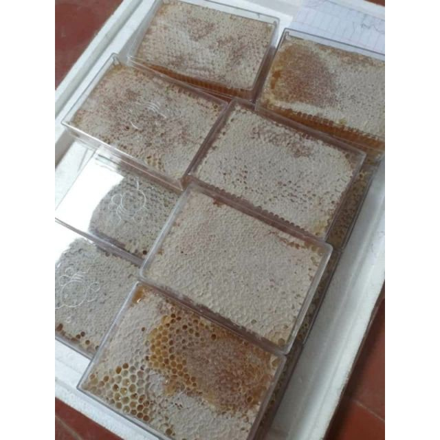 Mật Ong Bánh Tổ Nguyên Sáp Cao Cấp