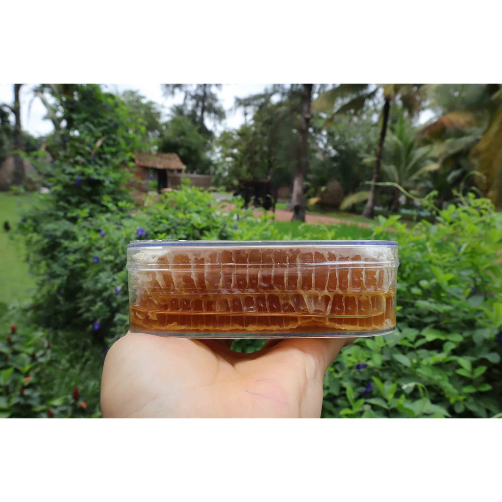 Mật Ong Bánh Tổ Nguyên Sáp Cao Cấp