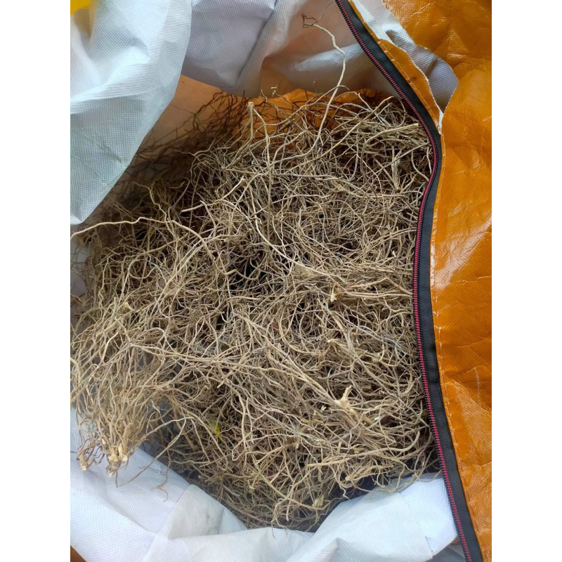 200g Rể Hạch Hạc khô