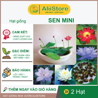 Shock 1k - 2 hạt sen mini mix màu ngẫu nhiên cam kết nảy >90%