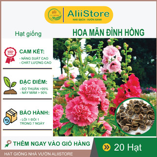 SALE 1K NẢY MẦM CAO - 20 Hạt Giống Hoa Mãn Đình Hồng Kép Mix (Mix Màu)