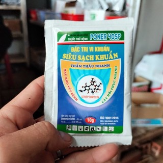 Poner gói 10g streptomycin sulfate phòng trừ bệnh bạc lá, thối rễ hoa hồng, đốm lá hoa hồng