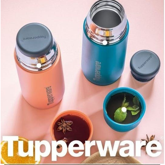 Bình Giữ Nhiệt Tupperware 520ml Buddy  ⭐️Tupperware Mall HCM