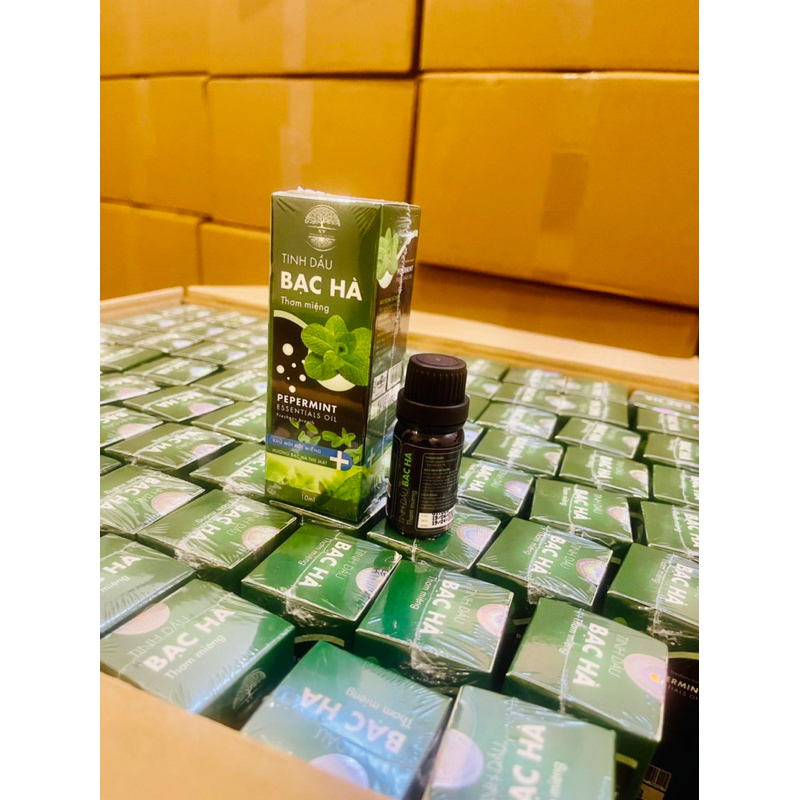 [Tặng 1 kem dưỡng da ] Tinh Dầu Thơm Miệng , Trắng Răng XT. | BigBuy360 - bigbuy360.vn