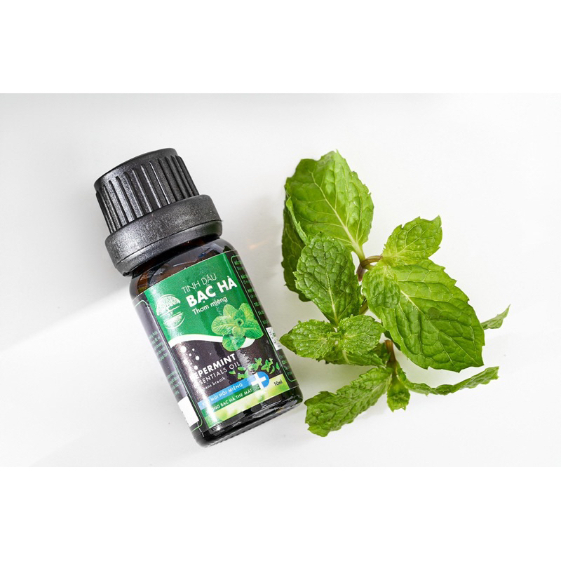 [Tặng 1 kem dưỡng da ] Tinh Dầu Thơm Miệng , Trắng Răng XT. | BigBuy360 - bigbuy360.vn