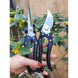 Kéo cắt cành,kéo tỉa dăm - mua kéo cắt tặng kéo tỉa dăm cây cảnh,bonsai ms 5022