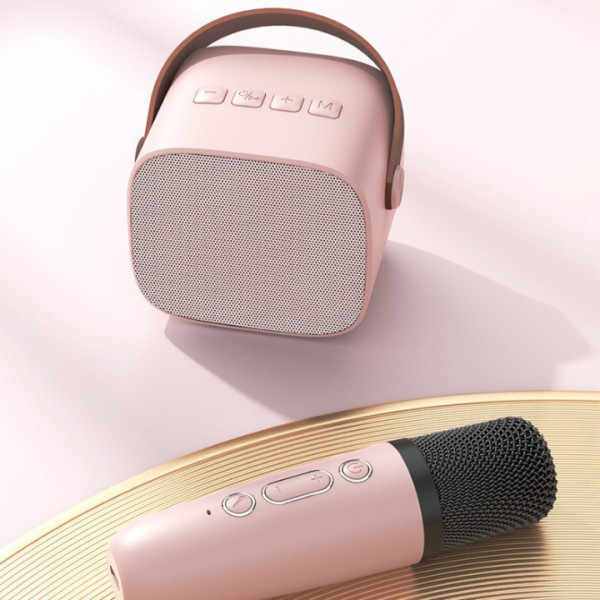 Loa Karaoke Mini D20 thế hệ mới âm thanh ấm, bass mạnh, max loa không rè - Tặng micro không dây cao cấp