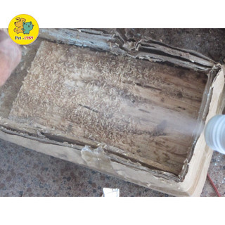 Diệt mối tận gốc dạng bột PMC 90