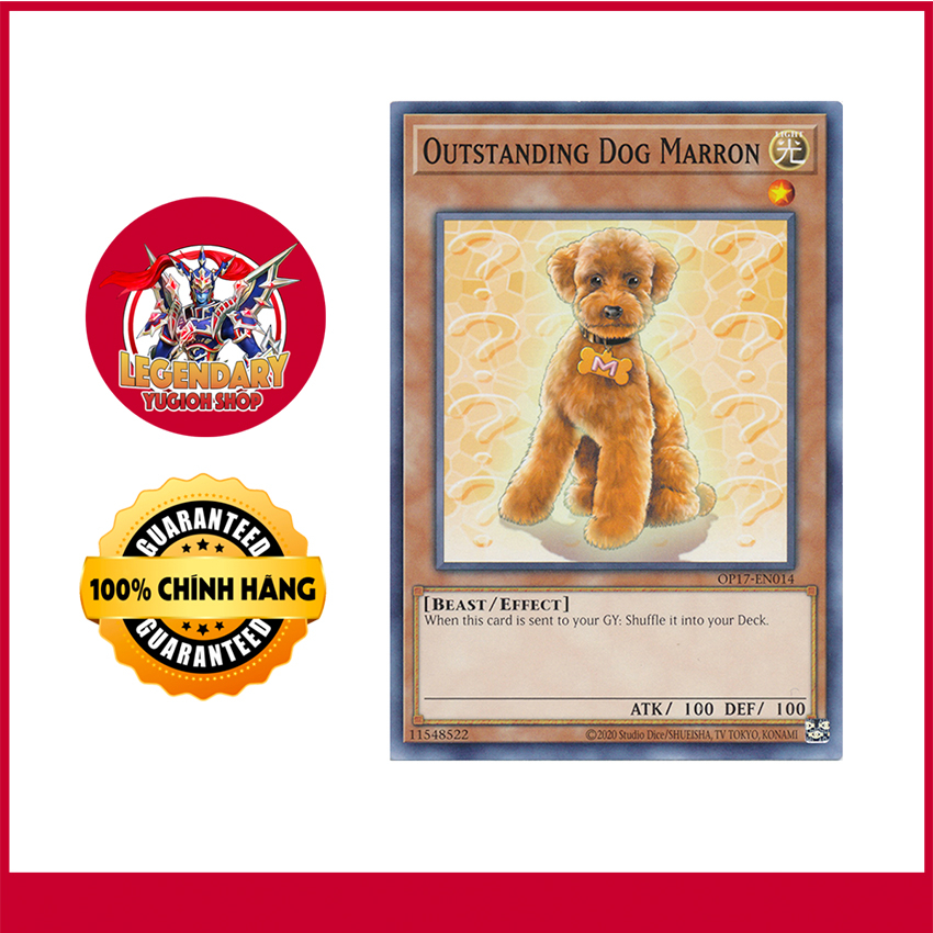 Outstanding Dog Marron