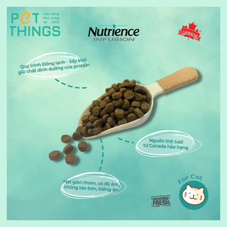 Thức Ăn Hạt Cho Mèo Nutrience Infusion Từ Canada