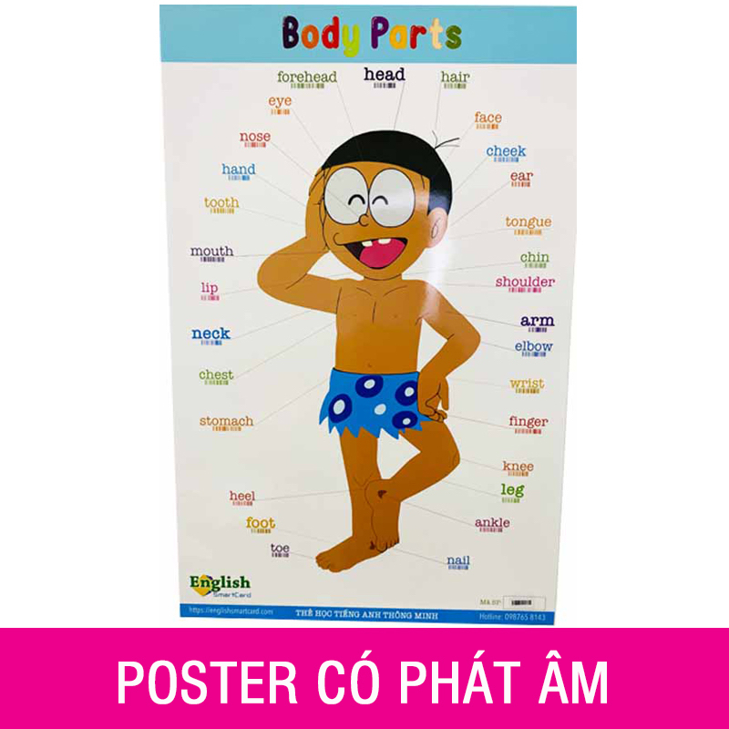 Poster tiếng Anh chủ đề về cơ thể con người, có phát âm