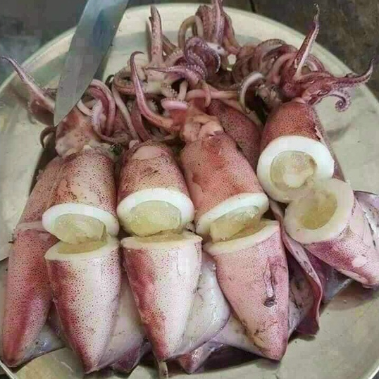 Mực trứng siêu ngon