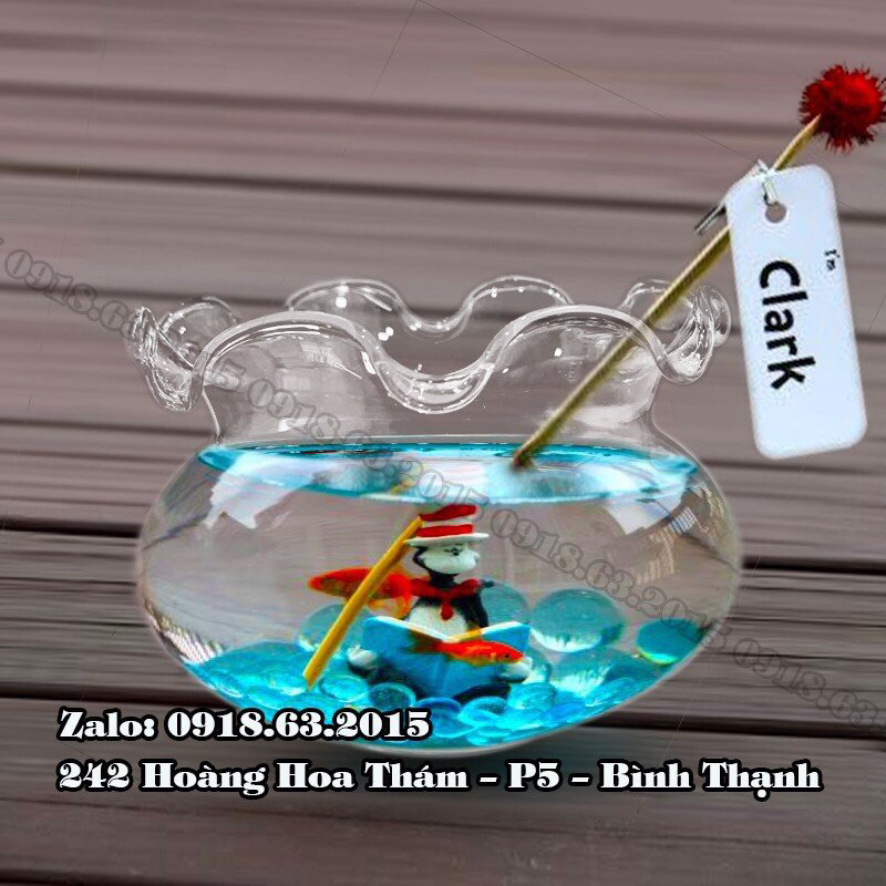 BÌNH THỦY TINH NUÔI CÁ ĐỂ BÀN,CHẬU CÁ THỦY TINH MINI,BÌNH THỦY TINH TRỒNG CÂY THỦY SINH
