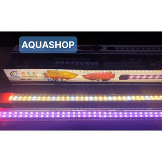 Đèn Led XML Chuyên Dụng Cho Cá Rồng - Led Xuanmeilong Phiên Bản Thủy Tinh Limited