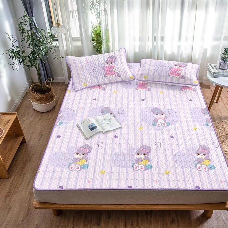 chiếu điều hòa 1m2,1m4,1m5 kèm 2 vỏ gối nằm cùng bộ