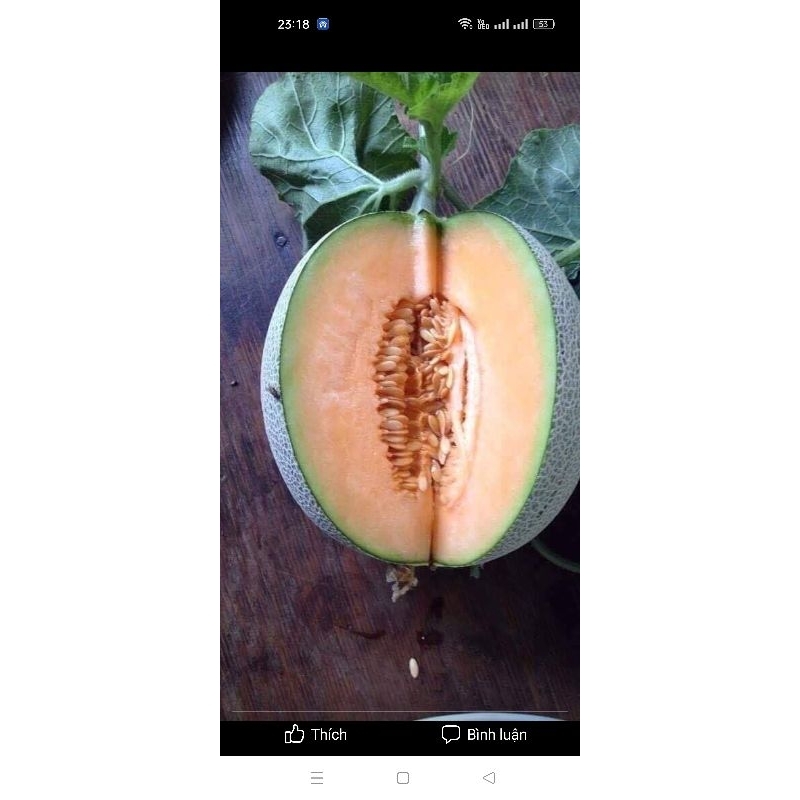 Khử trùng Anolite 1 lít